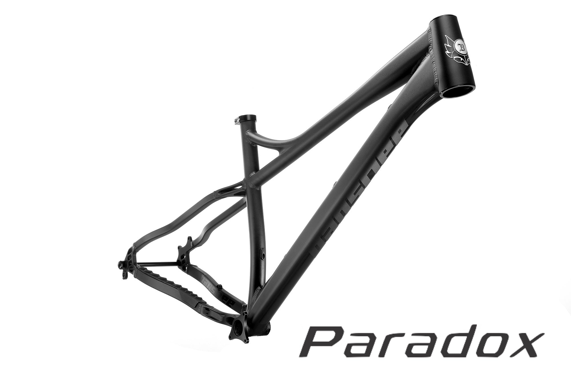 Banshee Paradox V3 Frameset, Raw With Dark Blue Decals