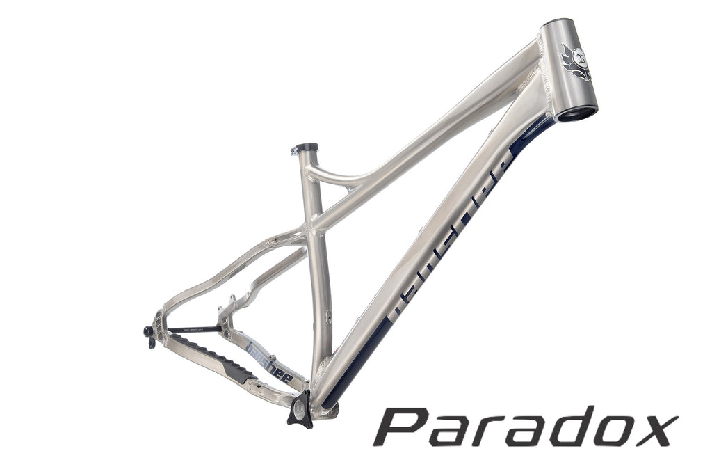 Paradox Frameset - Medium Raw With Dark Blue Decals, Headset