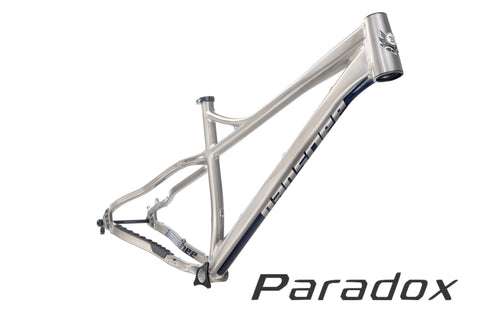 Paradox Frameset - Medium Raw With Dark Blue Decals, Headset